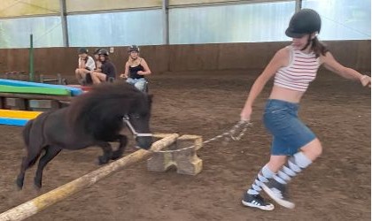 Pony games